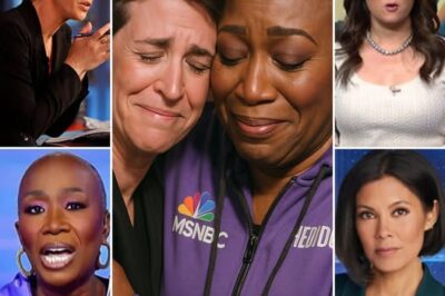 Rachel Maddow Won’t Back Down! Three months after Rachel Maddow publicly criticized MSNBC for canceling shows hosted by non-white anchors like Joy Reid and Alex Wagner, the host of ‘The Rachel Maddow Show’ remains somewhat disheartened. She has yet to restore the justice she believes her colleagues deserve. MSNBC has continued with its planned programming changes. Yet, Maddow has received a quiet miracle in return — a small but warm flame of solidarity that has reignited her resolve. It’s this spark that now fuels her ongoing fight to protect and uplift the voices that too often go unheard.