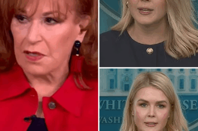 LIVE TV SHOCKER: Karoline Leavitt RIPS Into The View—Defends Pope Francis and Faith, Leaving Hosts Speechless!