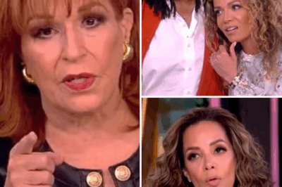 BREAKING: The View Shocking Announcement—Management Reveals Plans to “Terminate the Show”!