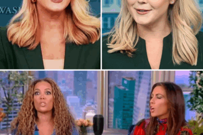 BREAKING: Karoline Leavitt TAKES DOWN The View with a BOMBSHELL $800 Million Lawsuit—The Legal Showdown That Has ABC in CHAOS!