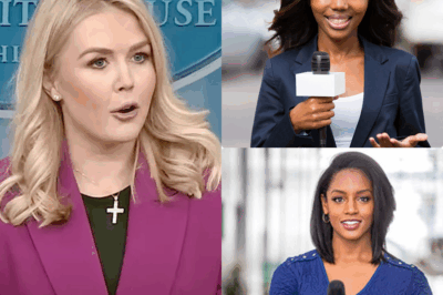 TV SCANDAL ERUPTS: Reporter BOOTED After Savagely Insulting Karoline Leavitt LIVE—Her Fiery Clapback IGNITES a Viral Storm! A routine interview turned catastrophic when a reporter’s vicious attack on Karoline Leavitt sparked chaos, only for Leavitt’s razor-sharp comeback to stun the studio and cost the reporter their job! What shocking slur triggered this meltdown, and what hidden motives lie behind Leavitt’s poised yet devastating response? The internet’s ablaze—uncover the heart-pounding truth!