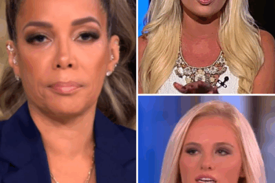 FOX NEWS FIRESTORM: Tomi Lahren SHREDS Sunny Hostin in Explosive Immigration Debate—“You Just Proved My Point!”