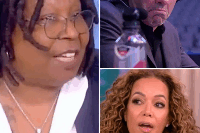 FOX NEWS BOMBSHELL: Joe Rogan SLAPS ‘The View’ With $150M Lawsuit—Studio in Full Panic After “Dragon” Defamation Goes Viral!