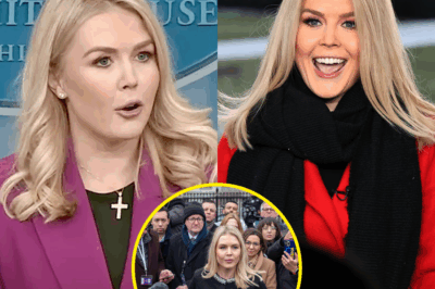LIVE TV NIGHTMARE UNFOLDS! Reporter AXED Instantly After SHOCKING On-Air Attack on Karoline Leavitt—Her SAVAGE Response Leaves Studio in Stunned Silence!  A routine interview spiraled into absolute CHAOS when a reporter unleashed a hateful, career-ending insult at Karoline Leavitt, freezing viewers in disbelief. 😱🔥 Leavitt’s fierce and explosive counterattack stunned millions—and hours later, the reporter’s career was OVER!  #LeavittFightsBack is EXPLODING!  The internet is ON FIRE with heated debates: 👉 What twisted words sparked this catastrophic showdown? 👉 Was Leavitt’s brutal clapback heroic justice—or a ruthless takedown? 👉 Is there a darker conspiracy hiding behind this jaw-dropping scandal?