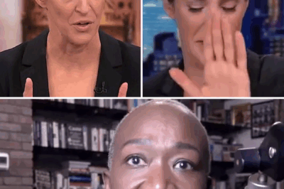 FOX NEWS SHOCKER: Rachel Maddow Rips MSNBC Over Joy Reid’s Exit and ‘Non-White’ Host Cancellations—”This Feels Indefensible!”