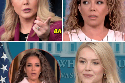 Karoline Leavitt FINALLY EXPOSES The Hosts From The View On Live TV  In an explosive moment that left viewers stunned, Karoline Leavitt took to live TV to expose the hosts of The View. With sharp words and undeniable evidence, Leavitt laid bare the behind-the-scenes dynamics of the popular talk show, sparking heated reactions from the hosts and fans alike. What did Leavitt reveal that caused such a stir? Find out how this shocking moment unfolded and why it’s causing waves across the media!