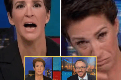 SHOCKING: Rachel Maddow SHOCKS Viewers with Fiery Criticism of Judge Arrests – Media World in Uproar! The media world was left stunned by a dramatic moment on The Rachel Maddow Show, when Rachel Maddow harshly condemned the recent arrests of Judge Joel Cano in New Mexico and Judge Hannah Dugan in Milwaukee, Wisconsin