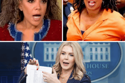 BREAKING: Karoline Leavitt MAKES HISTORY with $800 Million Win Against The View – ABC Forced to Make Shocking Move! In a monumental court ruling that has sent shockwaves through the media world, Karoline Leavitt has emerged victorious in her defamation case against The View, winning a staggering $800 million. The ruling has left fans and critics alike in disbelief, as ABC now faces the consequences of their actions. What will ABC have to do next after this groundbreaking victory? Get the full explosive details in the comments below!