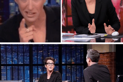 Rachel Maddow Shatters Silence on MSNBC’s Future — Reveals Stunning Exit, Private Struggles, and a Life Fans Never Expected in Massachusetts