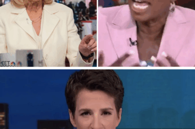 MSNBC BOMBSHELL: Top Star Abruptly Quits Live on Air—“I Couldn’t Take It Anymore,” She Admits as Chaos Erupts Behind the Scenes and Viewers Demand Answers!