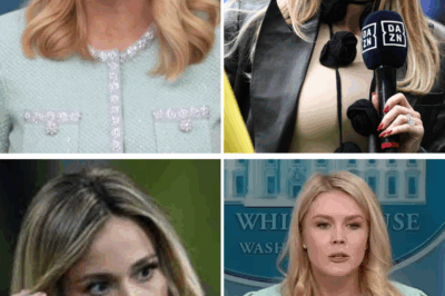 FIRED IN REAL TIME: TV Reporter CROSSES THE LINE With Karoline Leavitt in Explosive Live Broadcast—Career DESTROYED Within Minutes as Network Scrambles to Contain the Fallout and Viewers Demand Answers