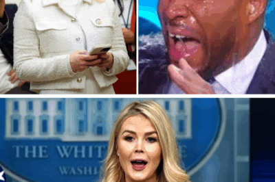 Retired NFL Star TRIES to Humiliate Karoline Leavitt on Live TV—But Her STUNNING Clapback Leaves Him SPEECHLESS as Studio Erupts and Internet Goes Wild