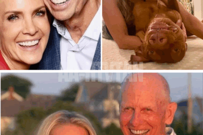 Why Dana Perino, After 25 Years of Marriage, Made a Life-Changing Choice That Left Fans STUNNED—The Truth Behind Her Quiet Decision to Never Have Children