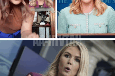 INSULTING LYRICS SPARK UPROAR: Karoline Leavitt becomes TARGET of disturbing social media campaign—viral hip hop song resurfaces with shocking claims it ‘PREDICTED’ her downfall, but her RESPONSE sets internet ablaze