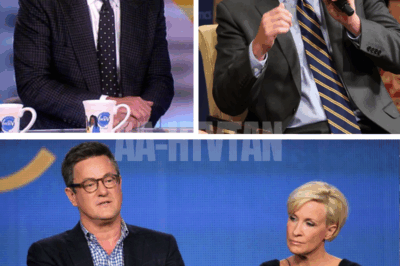 Morning Joe hosts ACCUSED OF BETRAYAL after SECRET MAR-A-LAGO MEETING sparks network-wide PANIC and leaves MSNBC insiders questioning loyalty and future of the show