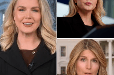 WHEN TRUTH BREAKS THE SYSTEM: Karoline Leavitt DROPS One Line That SHATTERS Nicolle Wallace Live On-Air—MSNBC Host ERUPTS in Chaotic Meltdown, Struggling to Regain Control as the Studio Descends Into Tension and Silence! What Did Karoline Say That Was So Honest, So Raw, That It BROKE the Carefully Managed Narrative? This May Be the Moment Mainstream Media Couldn’t Handle the Truth. Full story in the comment 👇👇