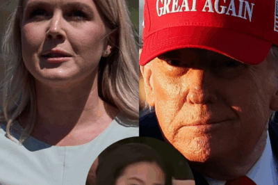 HOLY SHT  Karoline Leavitt just ended this fake News Reporter’s Career in 10 seconds: “Who is the head of the executive branch? The President of the United States. He has a right to fire people within the executive branch. It’s pretty simple”  ABSOLUTE MIC DROP