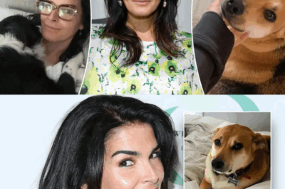 HEARTBREAKING TURN: Angie Harmon Reveals How She Was ‘SAVED’ After Delivery Driver Tragically Killed Her Dog—The Story Behind Her Miraculous Recovery! Actress Angie Harmon’s life turned upside-down when her beloved dog was killed by an Instacart driver. Yet, just when she thought hope was lost, a surprising gift changed everything. Read the incredible full story of grief, healing, and the unexpected hero that saved her life!