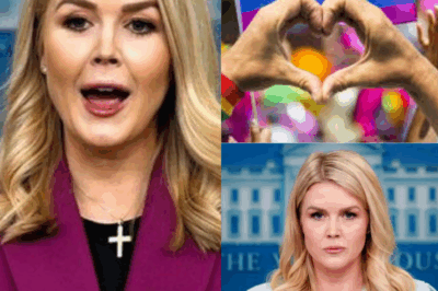 EXCLUSIVE, THIS JUST HAPPENED: Karoline Leavitt’s Bold New Policy SHOCKS America—Trump Administration Refuses to Recognize Pride Month and Redirects $200 Million to Help Homeless Veterans! What This Stunning Decision Means for LGBTQ+ Rights and the Future of Federal Funding!