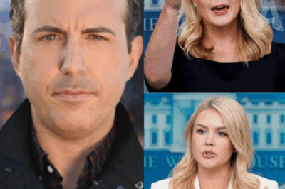 LIVE TV EXPLOSION: Karoline Leavitt COMPLETELY DESTROYS Gabe Gutierrez on Air—The ‘How Could You Be So Stupid?’ Moment That Left MSNBC Reporter Speechless! How Leavitt’s Fiery Response Took Over the Narrative and Shook the Studio to Its Core!