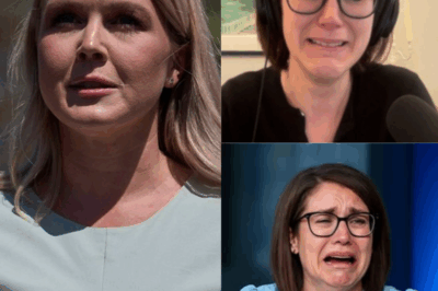 SHOCKING TV DRAMA: Karoline Leavitt Confronts MSNBC’s Gabe Gutierrez LIVE—The Explosive Moment That Left Him Speechless and Forced Producers to Step In! What Was Said That Triggered the On-Air Meltdown?