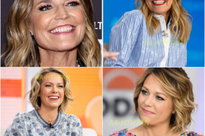 Dylan Dreyer facing backlash as angry fans call her “a troublemaker” after she suggests being harassed by a Today Show coworker—debate arises over who is truly responsible.