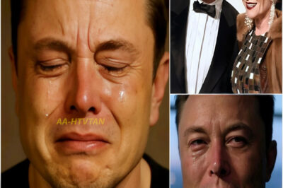 SAD NEWS: 30 minutes ago in Texas, USA, at the age of 53, Elon Musk’s family just announced urgent news to his followers that he is currently…