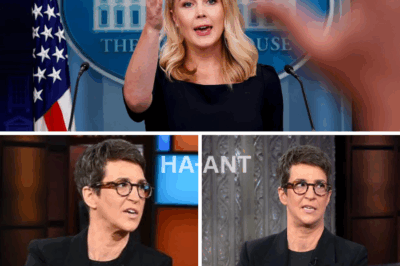 Karoline Leavitt vs. Rachel Maddow: The Fiery Showdown That Shook America’s Divide