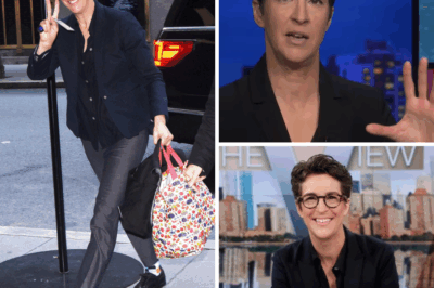 Step Inside Rachel Maddow’s Life in 2025—A Glimpse Into Her Career, Home, and Personal Journey!