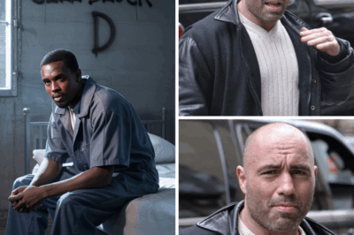 Joe Rogan Drops a Bombshell: Celebs Who Could Be Heading to Jail with Diddy—And the Names Will Shock You!