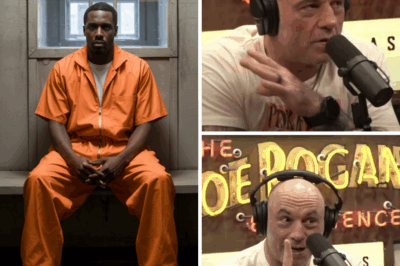 Joe Rogan Drops a Major Hint: Which Celebs Could Be Going Down with Diddy? The Names Will Leave You Speechless!