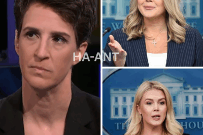 Karoline Leavitt vs. Rachel Maddow: The Fiery Showdown That Divided America