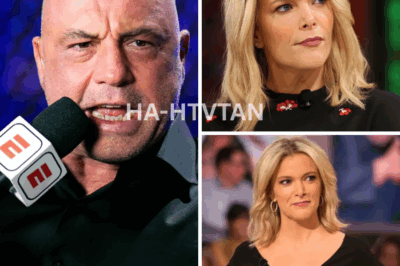 EXPOSED ON AIR: Joe Rogan and Megyn Kelly Slam Meghan Markle, Claiming Her Emotions Are Staged—Is Her Podcast Just Acting?