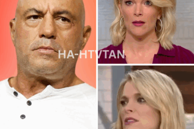 SHOCKING ACCUSATIONS: Joe Rogan and Megyn Kelly Suggest Meghan Markle’s Podcast Emotions Are Completely Staged—What’s the Real Story?