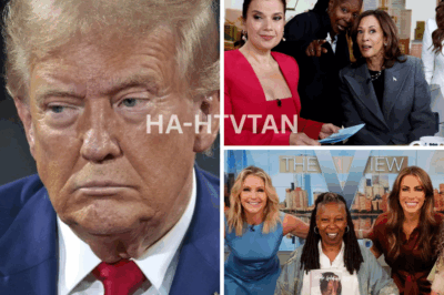 BREAKING: The View Hosts Defy Disney’s Gag Order, Launch Brutal Attack on Trump’s Disastrous Meeting with South African President