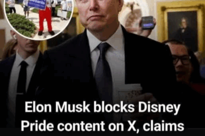 🚨 SATIRICAL SHOCKER: Elon Musk “Blocks” Disney Pride Content on X, Allegedly Claiming “Woke” Isn’t for Kids — But Here’s the Truth Behind the Viral Rumor 👀👇