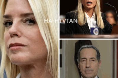Jamie Raskin DEMOLISHES Pam Bondi Leaves Her STUNNED in Senate Hearing