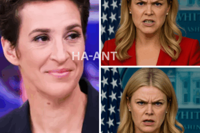 BREAKING: Karoline Leavitt Exposes Shocking Deception Live on Air—Rachel Maddow Left Speechless!