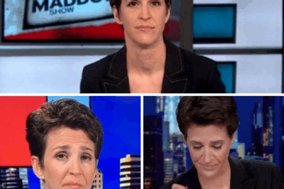 MSNBC IN TURMOIL: Rachel Maddow’s Top Producer Suddenly Quits as Crisis Spirals Out of Control—Liberal Network Faces Massive Shakeup and Growing Panic!