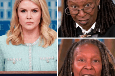 Karoline Leavitt Demands Boycott of The View LIVE—Fans Cheer, Social Media Erupts with Praise: “Finally Someone Said It!”