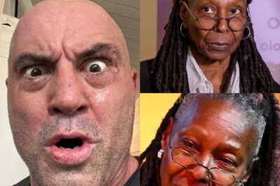 JOE ROGAN CLAPS BACK HARD AT WHOOPI GOLDBERG AFTER HER ELON MUSK ALLEGATIONS—What Did He Say That Has Everyone Talking? In a fiery Fox News exchange, Joe Rogan called out Whoopi Goldberg after she made shocking allegations about Elon Musk. His response? “Enough with the lies!” Rogan didn’t hold back in defending Musk. How did the two stars clash, and what prompted Rogan’s bold reaction? Want to know how Joe Rogan shut Whoopi Goldberg down? Click below to get all the explosive details of their unforgettable moment!👇👇