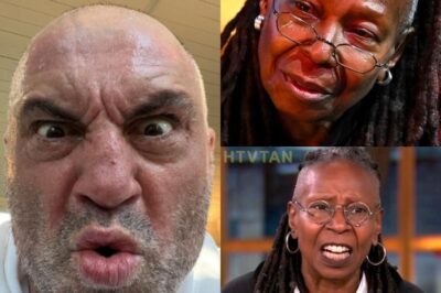 WHOOPI GOLDBERG AND JOE ROGAN CLASH OVER ELON MUSK ALLEGATIONS—What Did Rogan Say to Finally Silence Goldberg? Joe Rogan and Whoopi Goldberg went head-to-head on Fox News after Goldberg made wild allegations about Elon Musk. Rogan, known for his unapologetic stance, quickly shut her down with a forceful “Enough with the lies!” What led to this fiery exchange, and why did Rogan decide to step in? Want to uncover the full story of Rogan’s fiery response? Click below to read all the shocking details and how it left Whoopi Goldberg speechless!👇👇