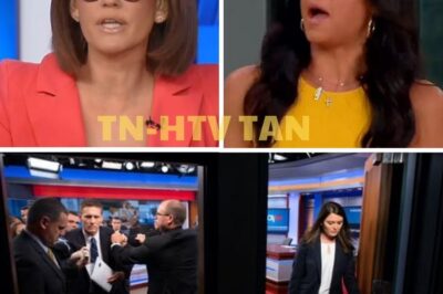 🚨 FOX NEWS EXPLOSION! Emily Compagno Abruptly Removed Mid-Show—What Sparked the Most Dramatic Behind-the-Scenes Implosion in Network History?