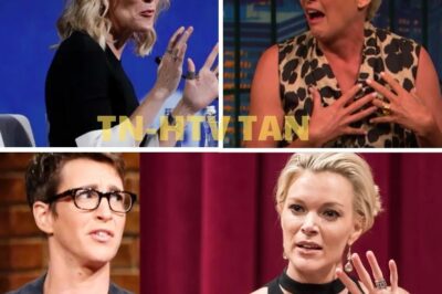 Megyn Kelly DEMANDS Severe Punishment for Rachel Maddow—“She’s Using MSNBC for Self-Promotion!”