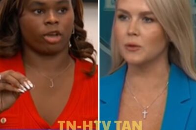 Press Secretary Karoline Leavitt just ended this Fake News Reporters Career to her face