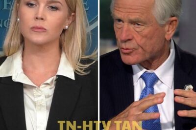 “The only person Trump hired who was qualified for their job was Stormy Daniels.” Leavitt PANICS As DISTURBING D0N@LD T!R@MP Video Goes VIRAL—What Happened Next Will Leave You Speechless!