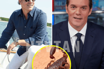 SHOCKING NIGHTMARE: Bill Hemmer STUNG by 6-INCH SCORPION in His NYC Apartment—The Terrifying Discovery No One Saw Coming!