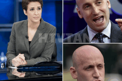 RACHEL MADDOW PUBLICLY HUMILIATES STEPHEN MILLER AFTER WIFE’S SCANDAL ERUPTS  In a jaw-dropping moment on live television, Rachel Maddow turned the spotlight on Stephen Miller, publicly humiliating him over his wife’s explosive scandal that has rocked the media world. What Maddow revealed sent shockwaves through the audience, as Miller’s personal life took a dramatic turn amidst the controversy. The stunning exchange has left viewers gasping, and the fallout from this revelation is just beginning to unfold. What did Maddow say to ignite such a heated confrontation, and how will this impact Miller’s public image moving forward? Full details below 👇