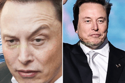 EXCLUSIVE, President Trump vs. Elon Musk Explodes Into a Full-Blown War of Words Now, with Stu Burguiere