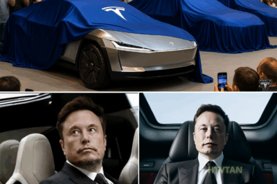 Tesla Model 2: A Game-Changer in Sustainable Travel and Affordable Electric Mobility